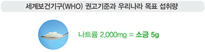 세계보건기구(who) 권고기준과 우리나라 목표 섭취량 나트륨2,000g = 소금 5g